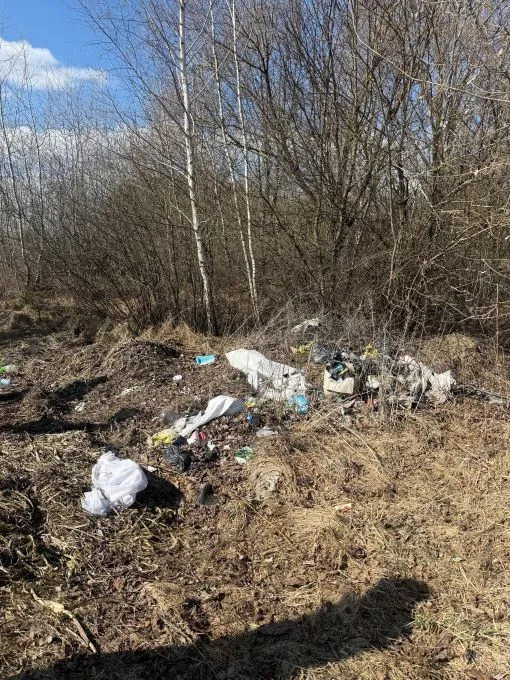 Хтось вивіз – громада розгрібає: на Цуманщині знайшли гори сміття (фото)