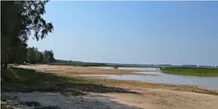 Світязь міліє на очах: на Гряді вода відійшла на десятки метрів (відео)