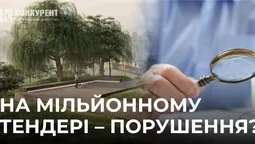 Держаудитслужба перевіряє тендер на будівництво парку на Набережній у Луцьку