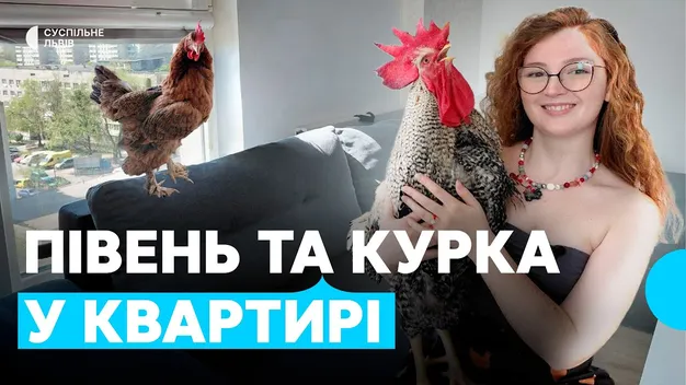 У Львові жінка тримає у квартирі курку і півня (відео)