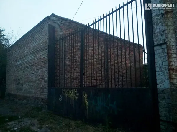 Зашкварна історія однієї фотосесії Мельників у Старому місті (фото)