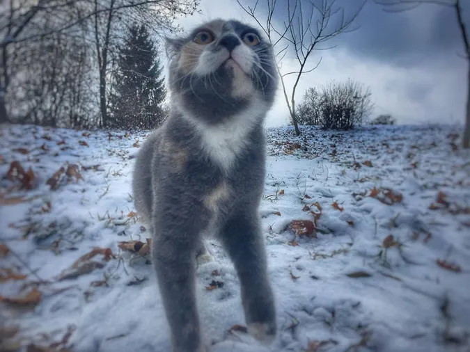 Луцьк накрило снігом (фоторепортаж)