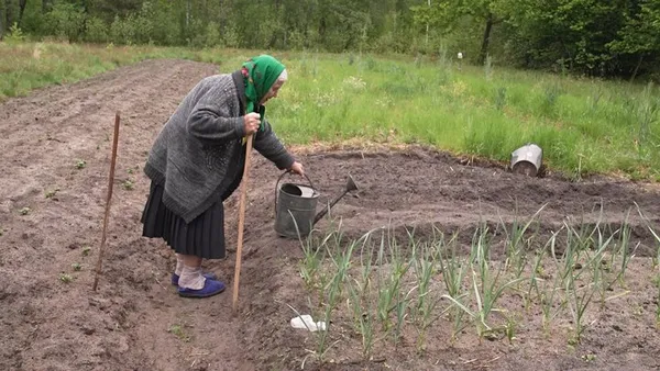 Остання на хуторі: 91-річна волинянка сама возить воду та порається на городі (фото)