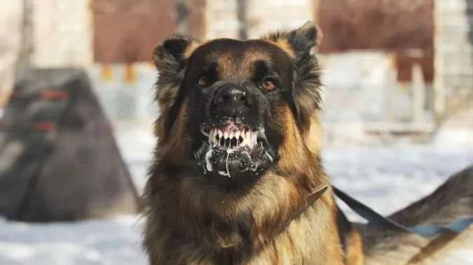 Фото ілюстративне