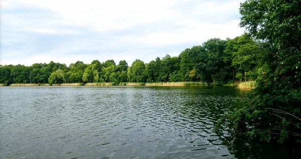 Водойма лежить серед лісового масиву Видертського лісництва, що створює особливу атмосферу усамітнення та гармонії з природою