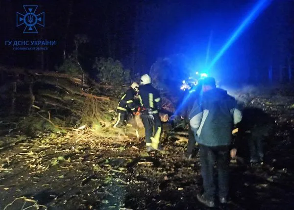 Біля Ківерців дерево перекрило автомобільну дорогу (фото)