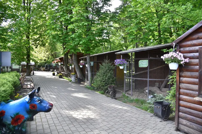 В луцькому зоопарку квітнуть японські гібриди петуній (фото)