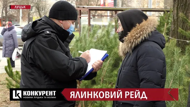 Без чіпів і дозвільних документів: як у Луцьку штрафували продавців ялинок (відео)