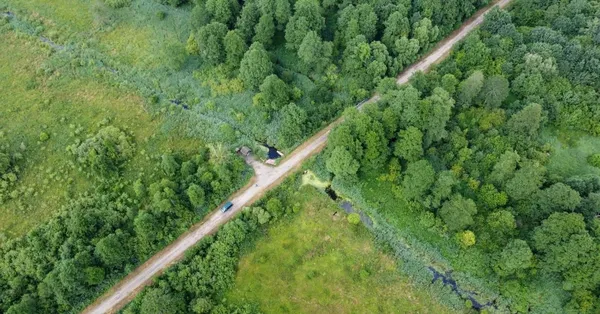 На Волині заховався унікальний куточок дикої природи, де мешкають бобри та видри (фото)