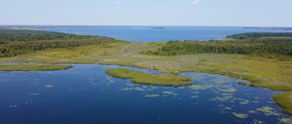 Аж подих захоплює: про Волинь зняли атмосферне кіно (відео)