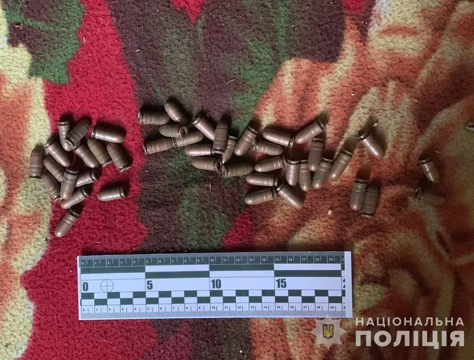 «Шмайсер», гранати, набої: у хаті 22-річного волинянина знайшли зброю (фото)