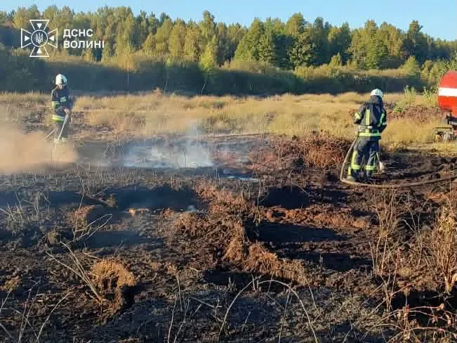 На Волині загорівся торф: пожежа охопила 4 гектари (фото)