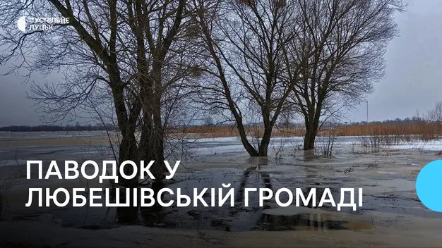 «Основна проблема з дамбами – це бобри»: в громаді на Волині підтоплює сільгоспугіддя (відео)