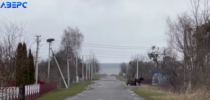 Чоловіків призовного віку майже не залишилося: як виживає село на Волині (відео)