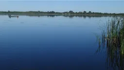 Мандрівник розповів про «чудо-юдо» на шляху до чистого озера на Волині (фото)