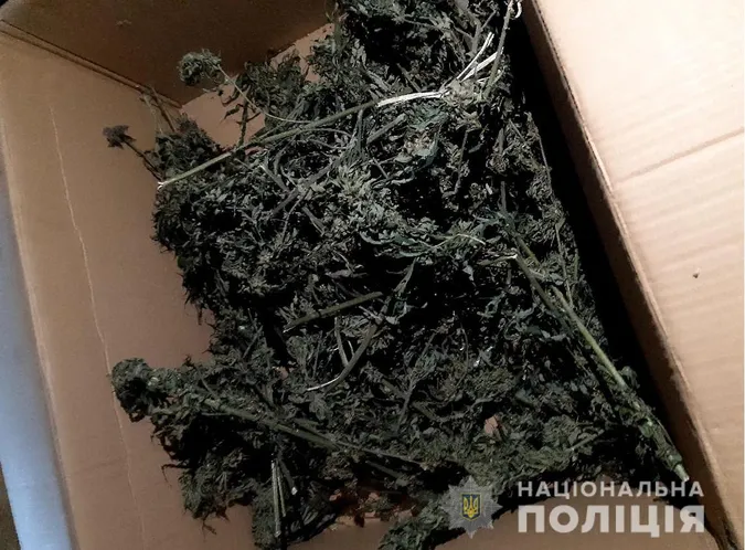 У волинянина знайшли ящик з марихуаною (фото)