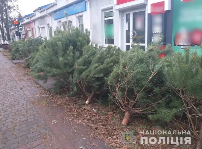 У Луцьку поліція взялася за продавців петард, хлопавок і феєрверків (фото)