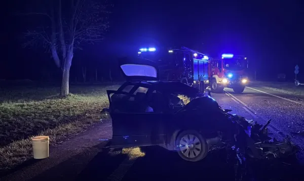 Водій виїхав на зустрічну смугу: у Польщі автобус із 26 українцями потрапив у ДТП (фото)