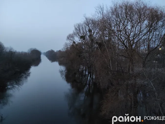 У Рожищі Стир вийшов із берегів: вона сягає стовбурів найближчих дерев (фото)