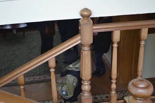 Відомо, чому обшукували лісників Волині (фото)