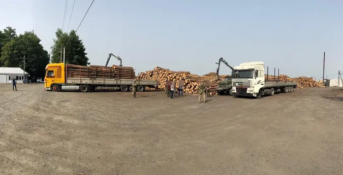 Незаконні рубки лісу та підробка документів: службовій особі волинського підприємства оголосили підозру