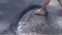 Вся у вибоїнах: в мережі показали дорогу на Світязь (відео)