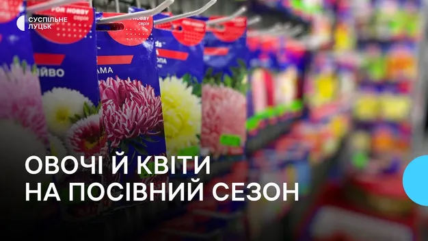 Пора посіву городини: яке насіння купують лучани (відео)