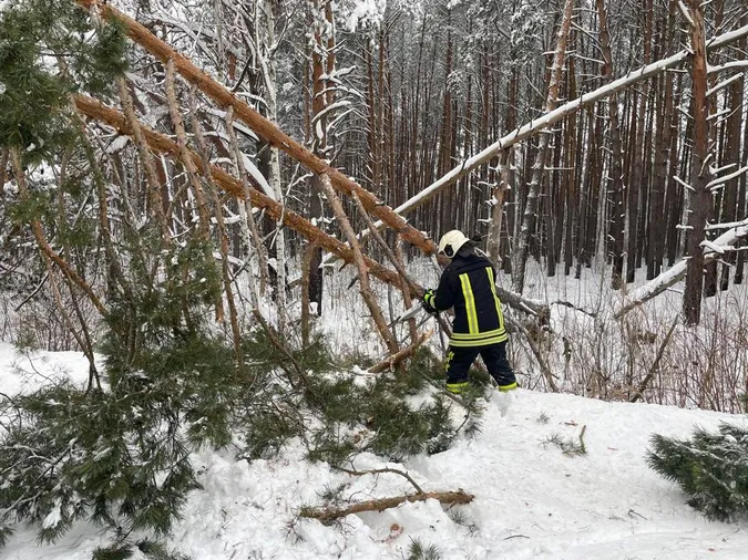 Пожежі, повалені дерева, застряглі авто: що робили волинські рятувальники у неділю (фото)