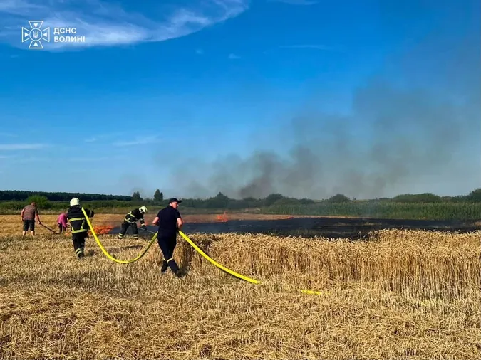 Палала суха трава і стерня: на Волині за добу ліквідували чотири пожежі (фото)