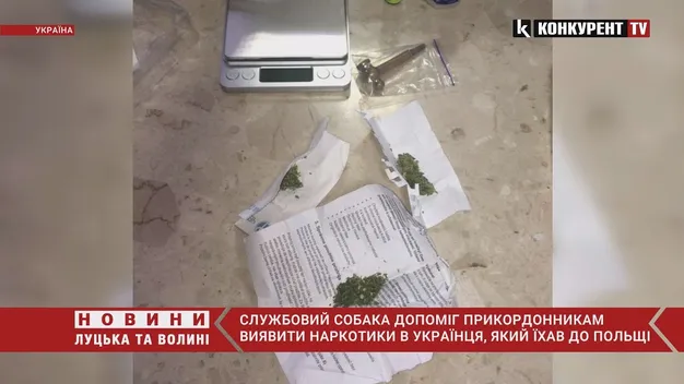 В «Устилузі» службовий собака винюхав «травичку» у кишені водія (фото, відео)