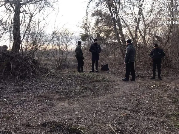 У Луцьку без дозволу зрізали 30 дерев на вулиці Глушець (фото)