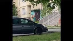 Розмахував і бив по сходах: у Луцьку затримали чоловіка з мечем (відео)