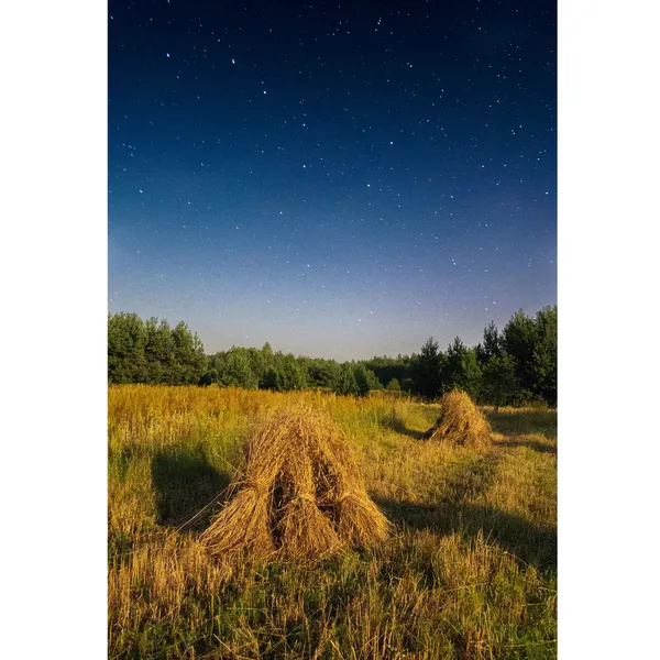 Пахне сіном крізь екран: фотограф показав жнива в селі на Волині (фото)