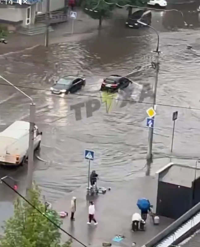 Автівки «пливуть», дерева падають: що накоїла потужна злива у Луцьку (фото, відео)