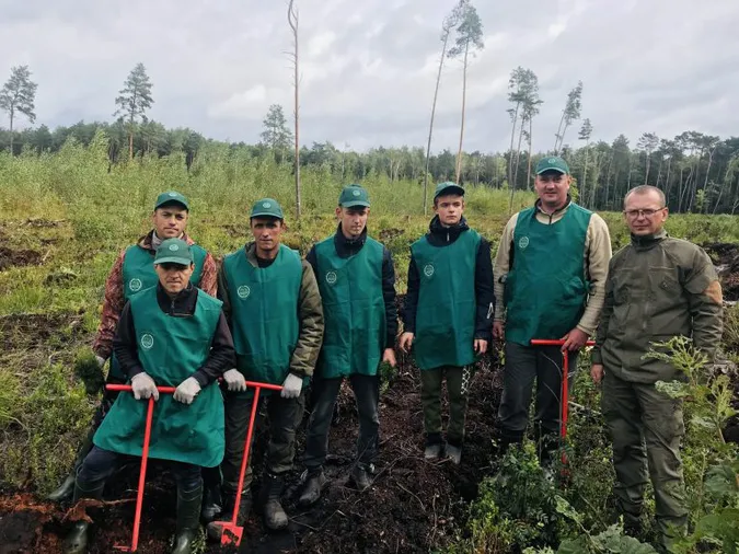 Волинські лісівники висадили понад мільйон сіянців (фото, відео)
