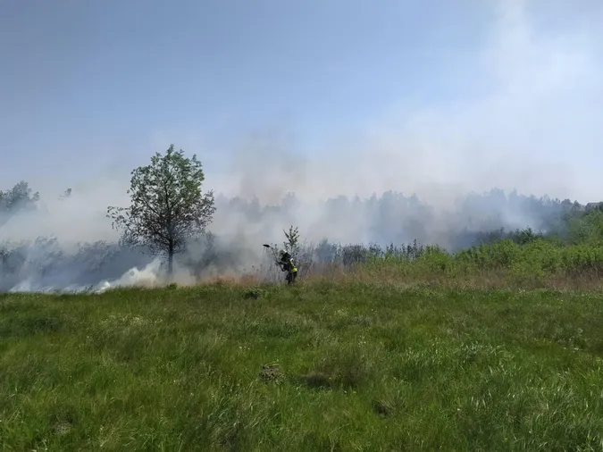 Згоріло пів поля: у Луцькому районі загасили масштабну пожежу (фото)