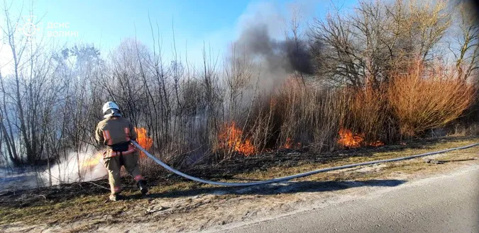 Палії не зупиняються: на Волині за добу сталося 12 пожеж (фото)