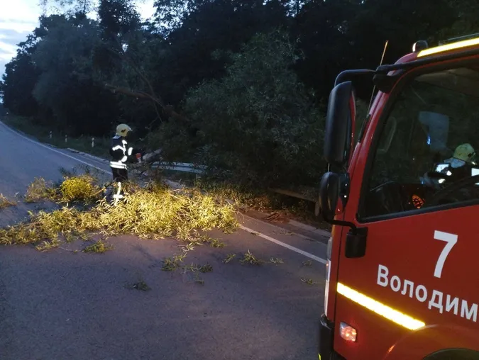 На Волині біля озера Лісне дерево впало на дорогу (фото)