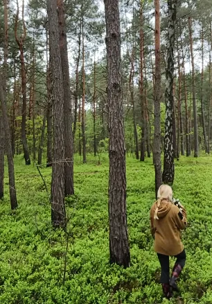 Здали локацію з першими на Волині грибами