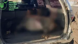 Відбувся штрафом: на Волині засудили браконьєра за вбивство самки кабана