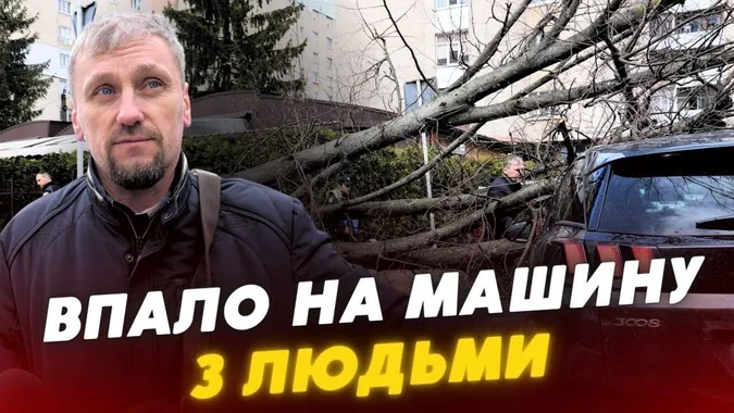 «Вилазили через задні двері»: у Луцьку дерево розтрощило автівку з подружжям всередині (відео)