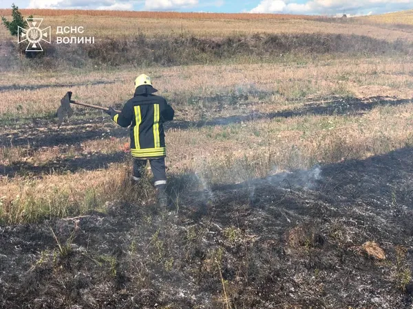 Вогонь охопив суху траву та торф: за добу на Волині сталося три займання