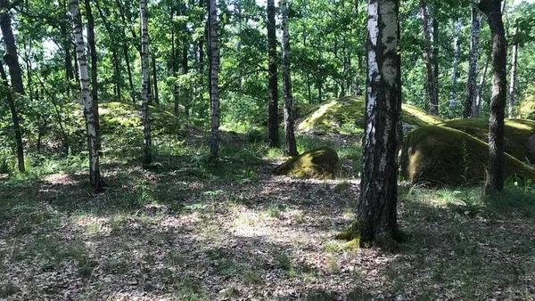 Бог і диявол зійшлися в одному камені: за 230 км від Луцька – аномальна зона, куди їдуть омолодитися (відео)
