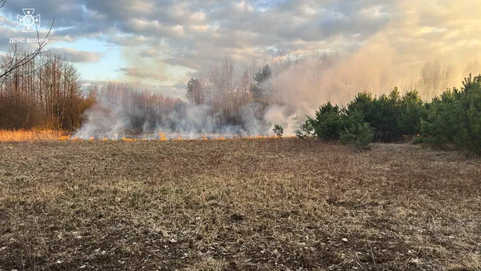 Найбільше – на Ковельщині: на Волині за добу вигоріло понад 7 гектарів (фото)