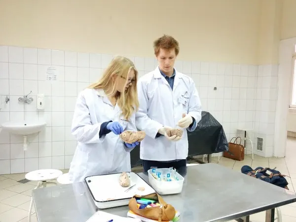 Європа VS Скандинавія: чому навчання за кордоном перспективніше. Досвід лучанки