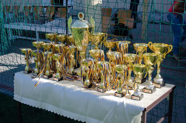 Волинські силовики вибороли «золото» у змаганнях «Кубок дружби» (фото)