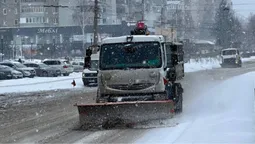Луцьк засипає снігом: водіїв просять не лишати авто на узбіччі (фото)