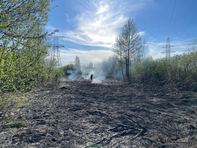 На дачному масиві під Луцьком жінка випадково підпалила поле (фото)