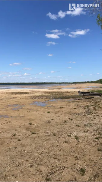Травневий Світязь: який вигляд має озеро зараз (фото)