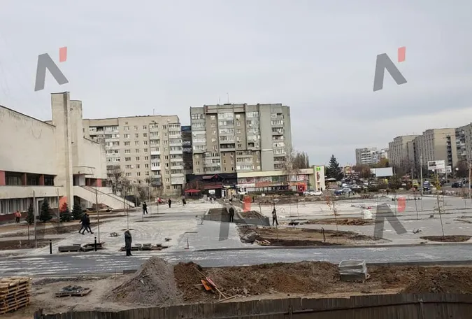 Перед РАЦСом у Луцьку зрізали ялинки (фото)